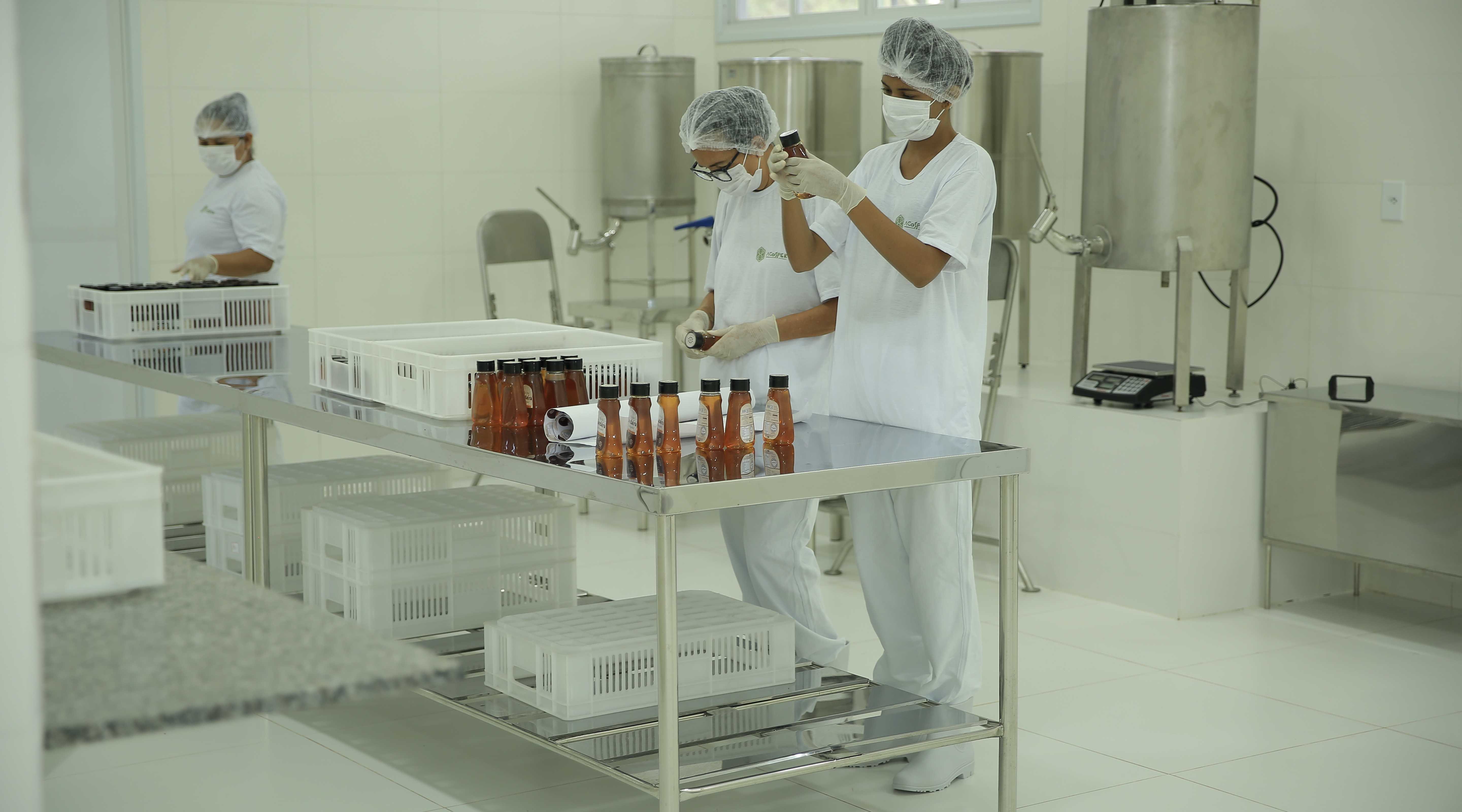 Equipe do Ecocentro com toucas, máscaras e luvas, manuseando frascos de mel em bancada de inox