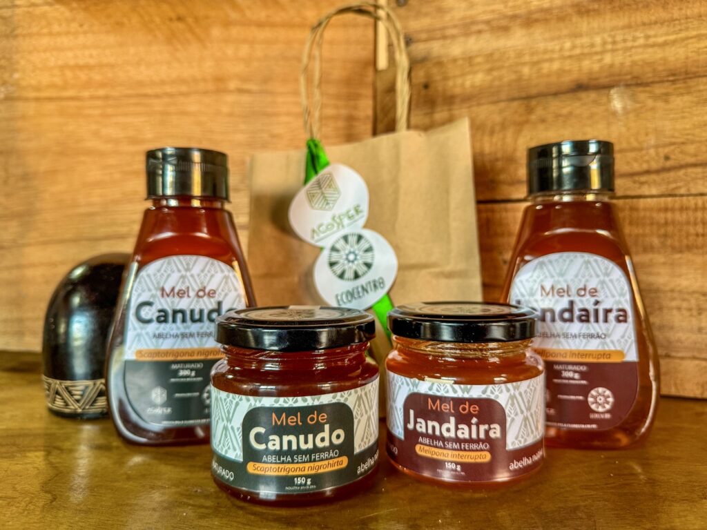 Fotografia original dos méis de Canudo e Jandaíra, em frascos e potes, com rótulos preservados